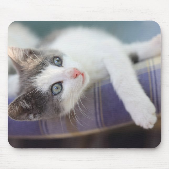 Sweet Kitty In Plaid Bed Mouse Pad (Front)