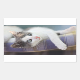 Sweet Kitty In Plaid Bed Sticker