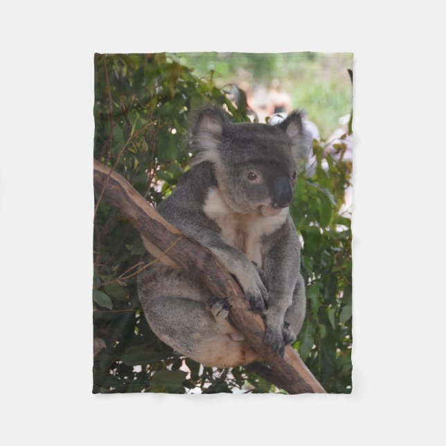 Sweet Koala Bear Fleece Blanket (Front)