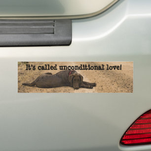 Sweet Labrador Retriever On A Forest Trail Bumper Sticker
