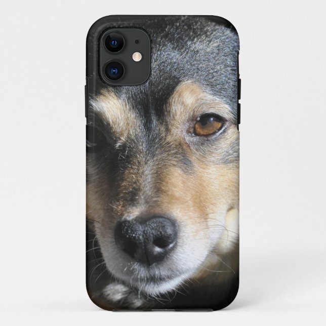 Sweet Little Dog Posing for the Camera Case-Mate iPhone Case (Back)