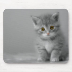 Sweet Little Kitten Mouse Pad