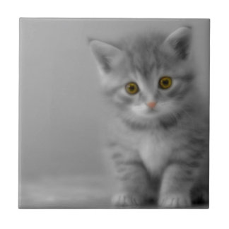 Sweet Little Kitten Tile