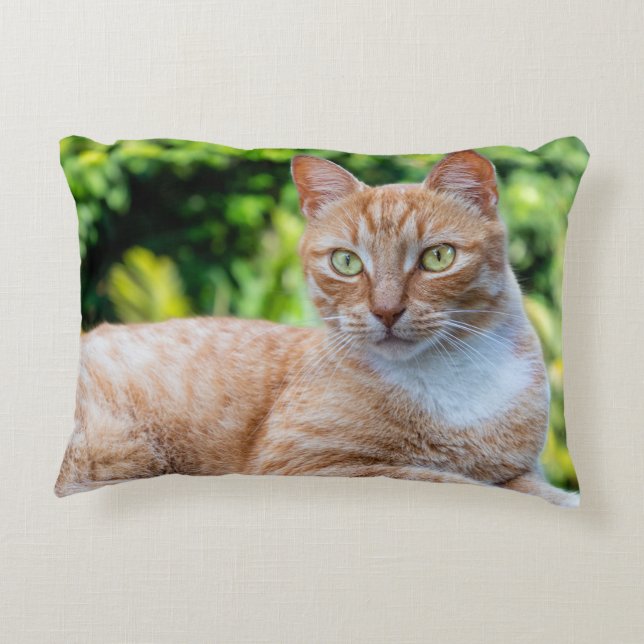 Sweet little kitty accent pillow (Back)