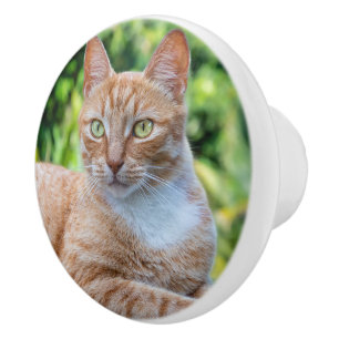 Sweet little kitty ceramic knob