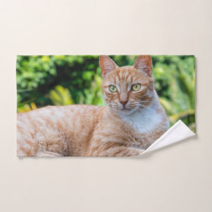 Sweet little kitty hand towel