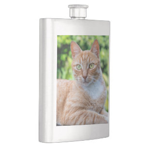 Sweet little kitty hip flask