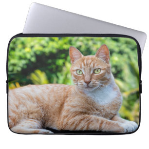 Sweet little kitty laptop sleeve