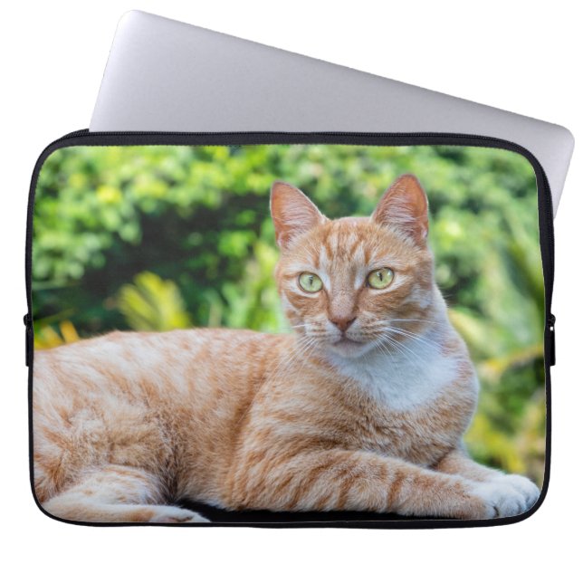 Sweet little kitty laptop sleeve (Front)