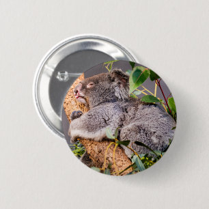 Sweet little koala 2 inch round button
