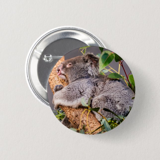 Sweet little koala 2 inch round button (Front & Back)