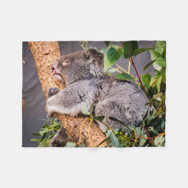 Sweet little koala fleece blanket (Front (Horizontal))