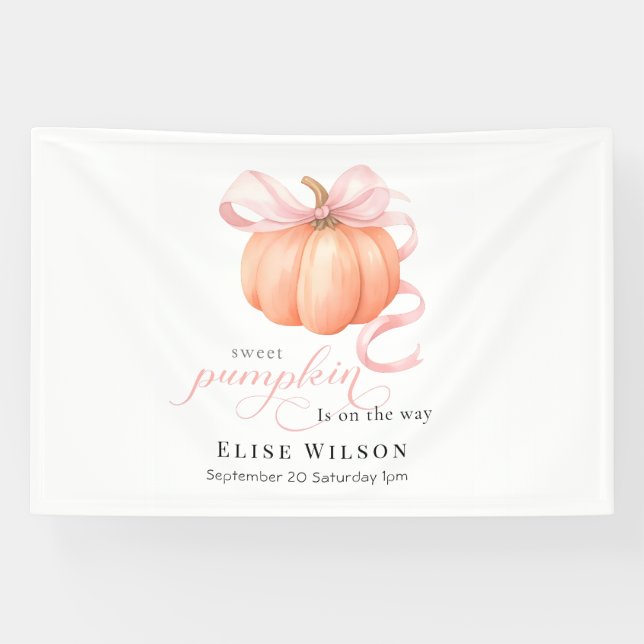 Sweet Little pumpkin pink bow is on the way Banner (Horizontal)