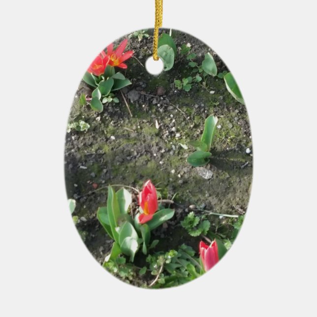 sweet little red spring flowers in the park ceramic ornament (Front)