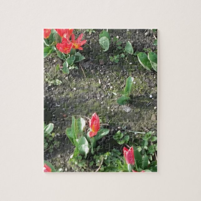 sweet little red spring flowers in the park jigsaw puzzle (Vertical)