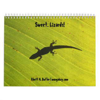 Sweet lizards calendar