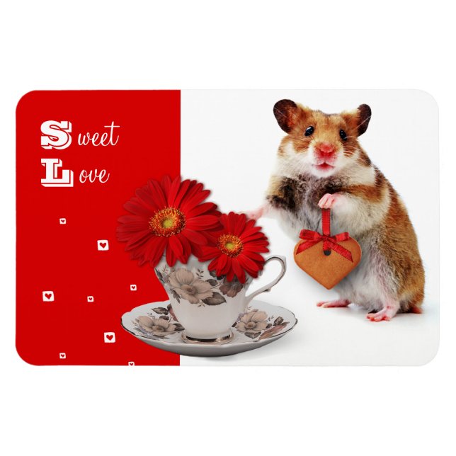 Sweet Love. Fun Valentine's Day Gift Magnet (Horizontal)