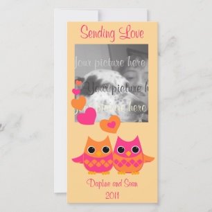 Sweet Love Owls Holiday Card