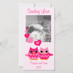 Sweet Love Owls Holiday Card