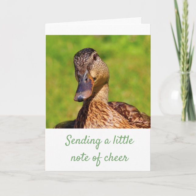 Sweet Mallard Duck Get Well Card (Front)