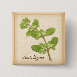 Sweet Marjoram Herb 2 Inch Square Button
