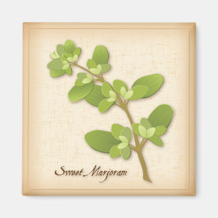 Sweet Marjoram Herb Magnet