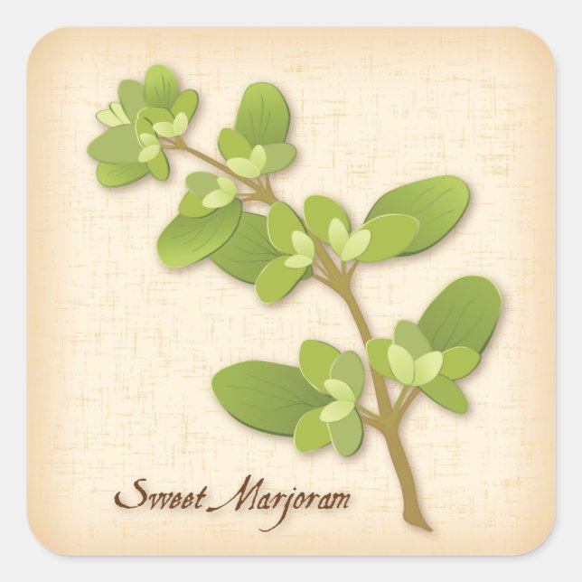 Sweet Marjoram Herb Square Sticker (Front)