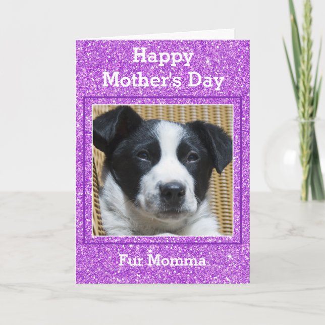Sweet Mother's Day Girly Glitter Custom Pet Photo Card (Front)