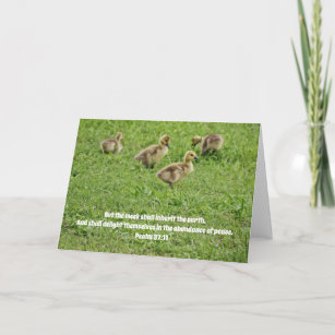 Sweet New Baby Geese Scripture Card Psalm 37:11