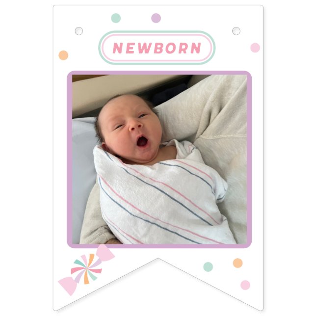 Sweet One MONTH BY MONTH FIRST BIRTHDAY banner! Bunting Flags (Second Flag)