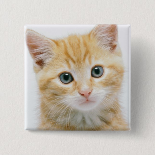 Sweet Orange Tabby 2 Inch Square Button (Front)