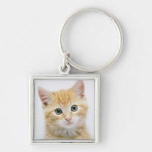 Sweet Orange Tabby Keychain