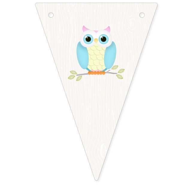 Sweet Owl Birthday Bunting Flags (Sixteenth Flag)