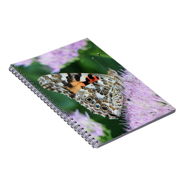 Sweet Painted Lady Notebook (Right Side)