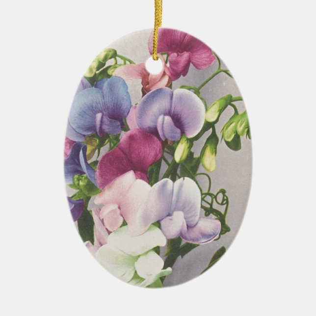 Sweet Pea 1907 Ceramic Ornament (Front)