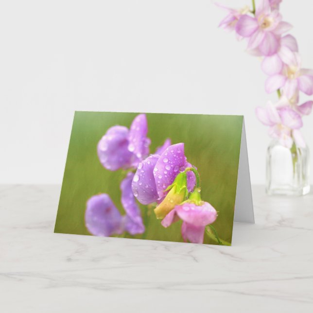 Sweet Pea And Rain Drops Birthday Card (Orchid)