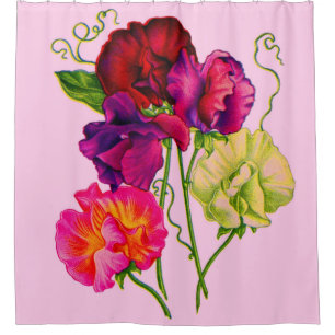 sweet pea flowers in purple and pink print