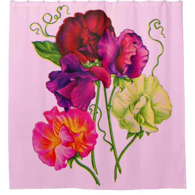 sweet pea flowers in purple and pink print (Front)