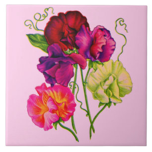 sweet pea flowers in purple and pink tile
