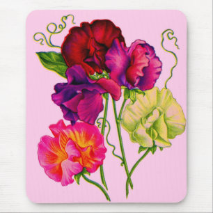 sweet pea in purple and pink mouse pad