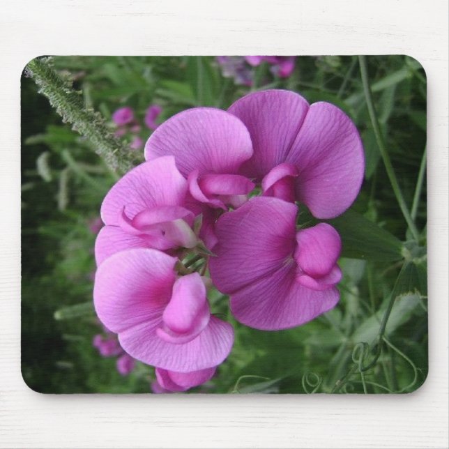Sweet Pea Mouse Pad (Front)