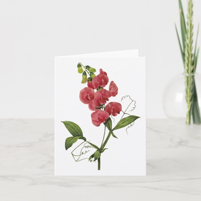 Sweet Pea Watercolor Blank Note Card (Front)