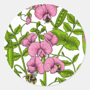 Sweet peas and bumblebees, pink, green and white classic round sticker