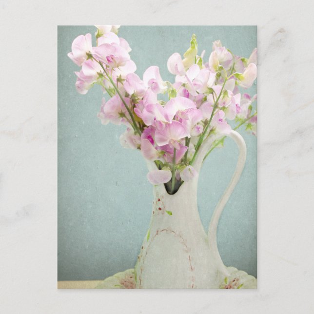 Sweet Peas in Antique Vase Postcard (Front)
