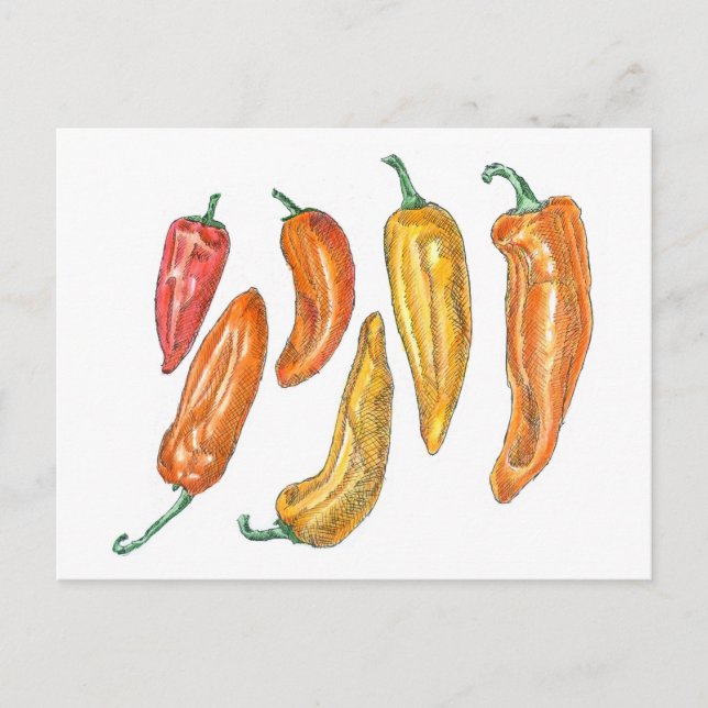 Sweet Peppers Postcard (Front)