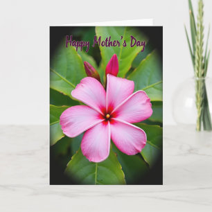 Sweet Petal Mothers Day Card