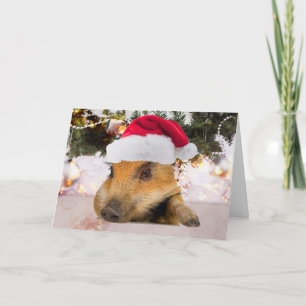 Sweet Pig In Santa Hat Christmas Tree Holiday Card