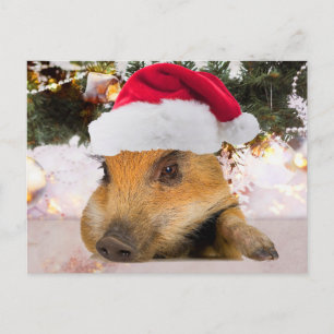 Sweet Pig In Santa Hat Christmas Tree Holiday Postcard