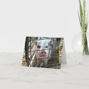 Sweet Pig Thinking Of You Card
