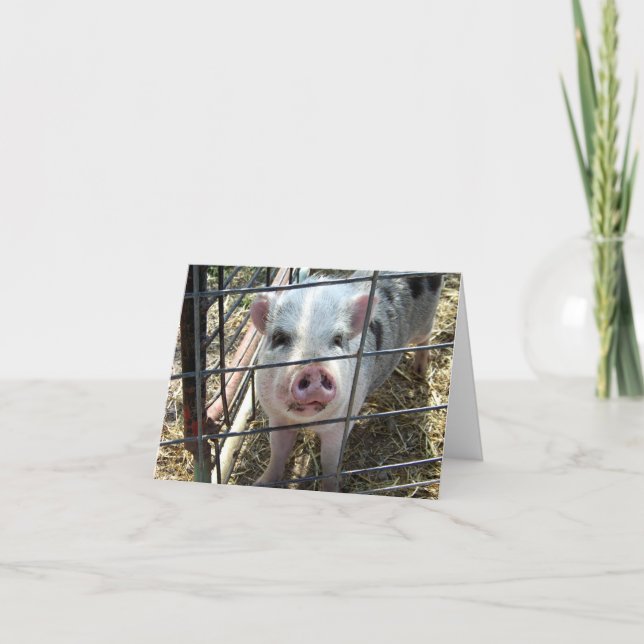 Sweet Pig Thinking Of You Card (Front)